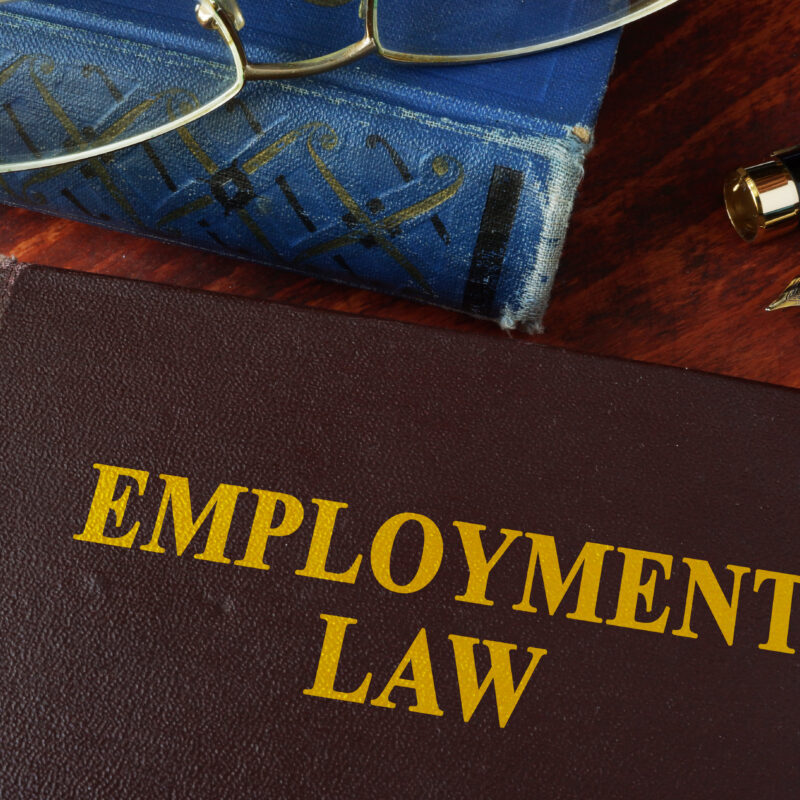 Glasses, a pen, and a book titled Employment Law